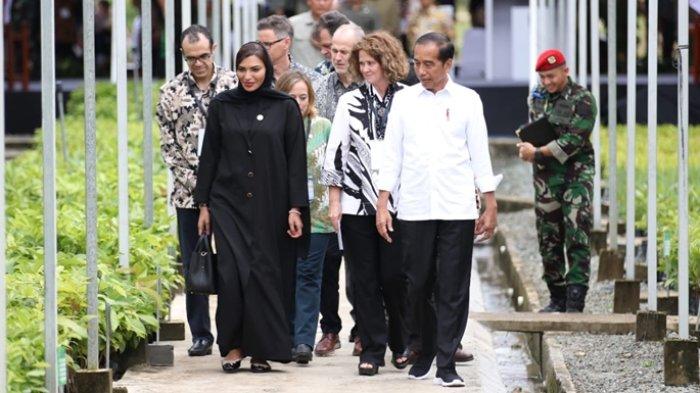 Presiden Joko Widodo saat mengunjungi persemaian mentawir di IKN Kalimantan Timur, bersama duta besar negara-negara sahabat.