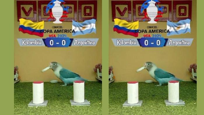 Burung Vopo viral ramal juara Copa America 2024, Argentina atau Kolombia?