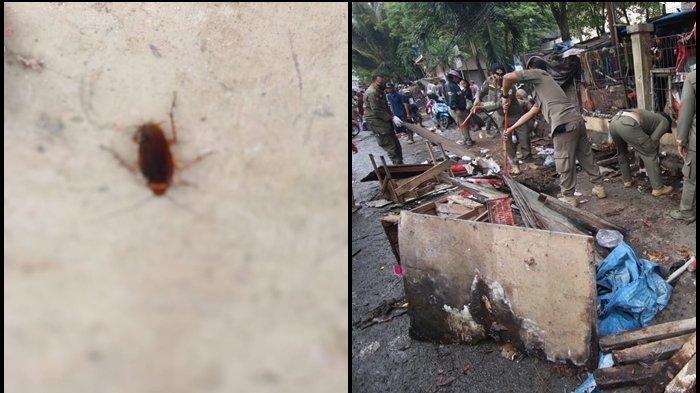 Kecoa dan Pasar Pandansari Balikpapan