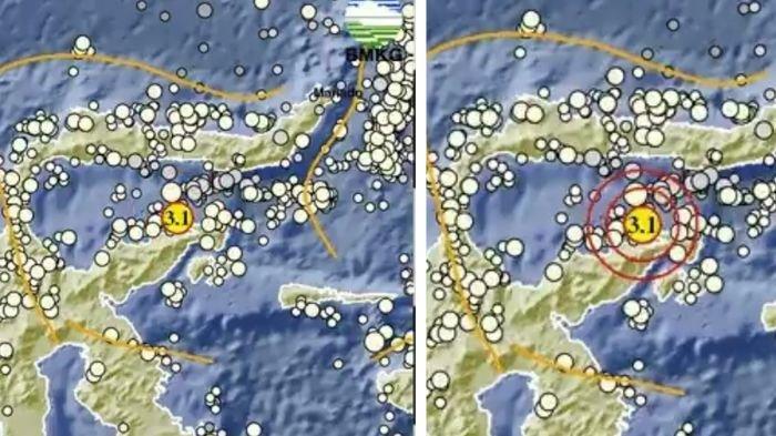 GEMPA TERKINI HARI INI - Gempa magnitudo 3.1 di Banggai Sulawesi Tengah, cek info BMKG selengkapnya