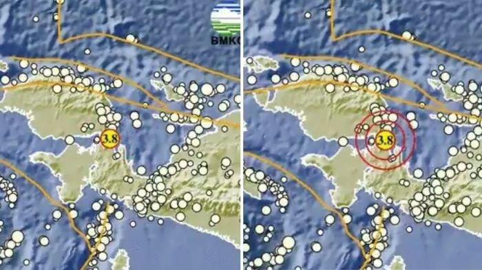 Gempa hari ini guncang Teluk Wondama Papua Barat magnitudo 3.8, cek info BMKG