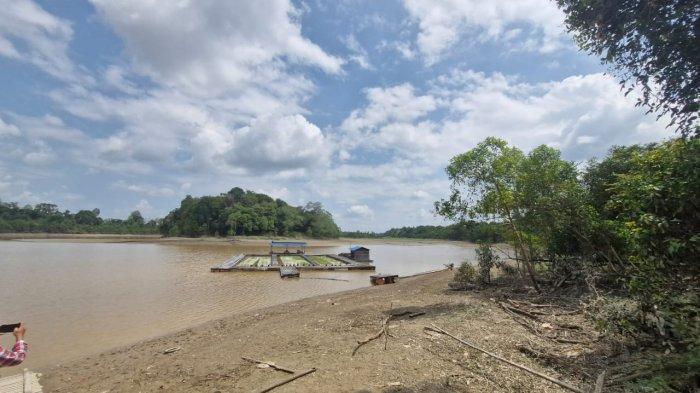 SUNGAI DANGKAL KUKAR - Sedimentasi yang terus menumpuk di Sungai Belayan, Kecamatan Kembang Janggut, Kabupaten Kutai Kartanegara (Kukar), Provinsi Kalimantan Timur menjadi keluhan utama masyarakat yang bergantung pada sungai tersebut. Banyak petani sawit yang kesulitan mengangkut hasil panen karena aliran air yang tersumbat, begitu pula para nelayan yang mengalami penurunan hasil tangkapan ikan. 