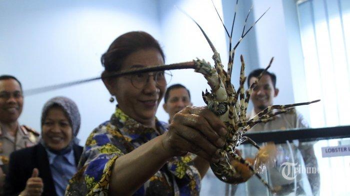 Dampak Positif Dibangunnya Pusat Pembiakan Benur Udang Tiger di Kukar ...