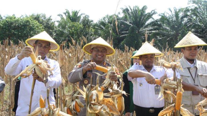 Populer Kaltim: Gempa Meningkat, Polres PPU Awasi Penjualan Petasan