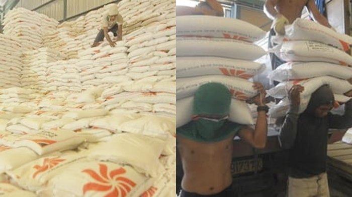 STOK BERAS AMAN - Sejumlah pekerja menata tumpukan beras di gudang Bulog komplek pergudangan Samarinda, Rabu (24/7/2024). Setelah sidak dan kunjungan dari tim Pemkot  stok beras di dinyatakan aman, mencukupi untuk kebutuhan wilayah Samarinda dan sekitarnya. (TRIBUN KALTIM /NEVRIANTO HARDI PRASETYO)