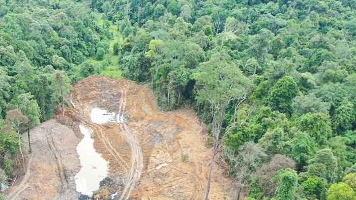 HUTAN PENDIDIKAN UNMUL– Pelaku atau dalang penambang Kawasan Hutan Dengan Tujuan Khusus atau hutan pendidikan yang dikelola Universitas Mulawarman (Unmul) di Kecamatan Samarinda, Kota Samarinda, Kalimantan Timurmasih belum terungkap, Sabtu (12/4/2025).