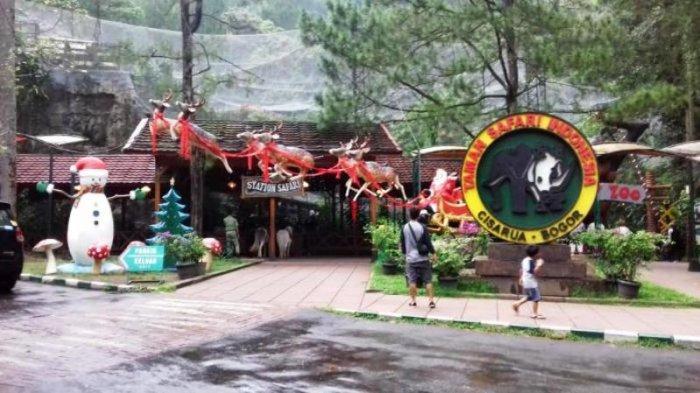 KLARIFIKASI OCI - Ilustrasi. Suasana Taman Safari Indonesia, Cisarua, Bogor. Foto diambil tahun 2019 lalu. OCI bantah ada eksploitasi eks pemain sirkus, sebut ada provokasi. (TribunnewsBogor.com/Yudhi Maulana)
