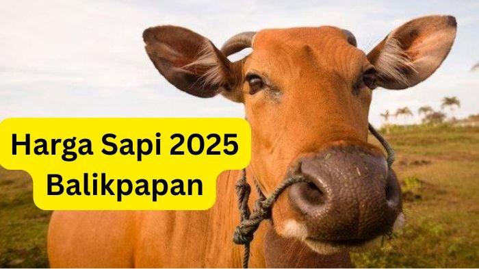 HARGA SAPI BALIKPAPAN - Ilustrasi Sapi yang diolah melalui Freepik. Berikut referensi harga sapi untuk Idul Adha 2025 di Balikpapan, Kaltim.(Freepik)