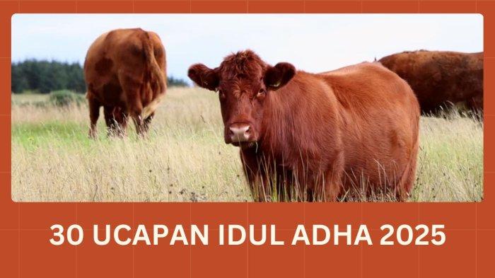 IDUL ADHA 2025 - Ilustrasi ucapan Idul Adha 2025 yang diolah dengan aplikasi visual Canva, Selasa (13/5/2025). Berikut kumpulan ucapan Idul Adha 2025 untuk teman dan keluarga yang cocok dibagikan ke grup WhatsApp. (TRIBUNKALTIM.CO/NISA ZAKIYAH VIA CANVA)