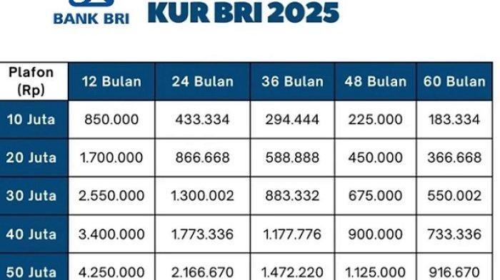 TABEL KUR BRI- Berikut ini tersaji tabel KUR BRI 2025. Para calon nasabah bisa melihat secara lengkap nilai nominalnya termasuk prosedur angsurannya per bulan. (POS-KUPANG.COM/HO)
