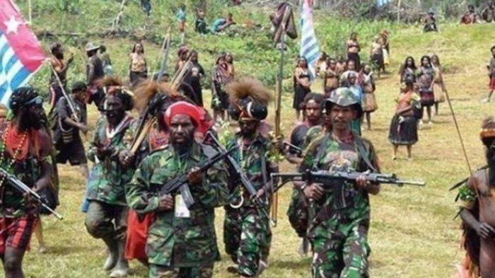 ILUSTRASI KKB PAPUA - 18 anggota OPM dilaporkan tewas setelah terlibat baku tembak dengan anggota TNI di Kabupaten Intan Jaya, Papua Tengah, Selasa (15/5/2025). Namun, ada korban luka bocah usia 6 tahun akibat terkena serpihan peluru di bagian telinga dan sudah dirawat di RSUD Kabupaten Mimika. (Tribun-Papua.com/Istimewa)