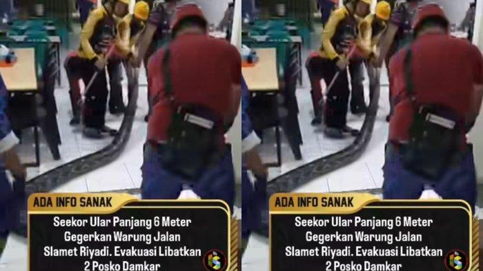 ULAR MASUK RUMAH - Tangkap layar proses evakuasi penangkapan ular yang masuk rumah milik warga di Samarinda. Warga di kawasan Jalan Slamet Riyadi, Kota Samarinda, Kalimantan Timur, dikejutkan dengan kemunculan seekor ular sawah raksasa yang masuk ke salah satu warung milik warga. (Instagram/info_samarinda_)