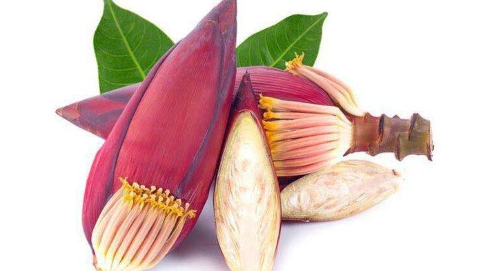 MANFAAT JANTUNG PISANG - Ilustrasi jantung pisang. Bagian dari pohon pisang yang memiliki banyak manfaat yang belum banyak diketahui yaitu jantung pisang bagian bunga dari pohon pisang yang berwarna merah keunguan ini, sering kali dianggap tak berguna dan dibuang begitu saja. (radarmukomuko.bacakoran)