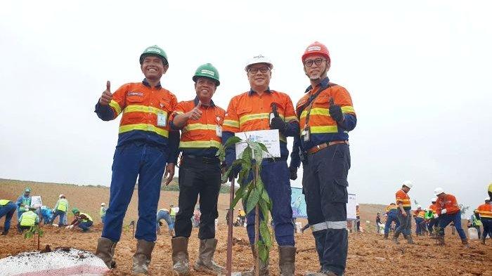 PT Indexim Coalindo Peringati Hari Lingkungan Hidup Sedunia dengan Penanaman Sejumlah 625 bibit pohon dan buah-buahan di area reklamasi tambang, pada Sabtu (14/6/2025). 