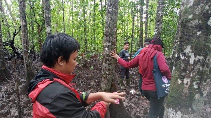 KONSERVASI MANGROVE KARANGAN - Ketua Pengurus Kawasan Konservasi Mangrove Karangan, Zubair Azis (kiri), bersama tim saat berada di kawasan konservasi mangrove Kampung Karangan, Kecamatan Biatan, Kabupaten Berau, Kalimantan Timur yang dipotret pada tahun 2021 silam. Warga di daerah tersebut sangat termotivasi melindungi dan melestarikan mangrove di tengah ancaman perusakan lingkungan dan demi masa depan yang lebih baik. (HO/DOK PRIBADI)