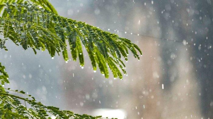 CUACA SAMARINDA TERKINI - Ilustrasi. Berikut informasi terkini melalui Badan Meteorologi Klimatologi dan Geofisika atau BMKG seputar prakiraan cuaca Samarinda hari ini, Jumat (4/7/2025) yang didominasi hujan ringan hingga hujan petir. (Canva)