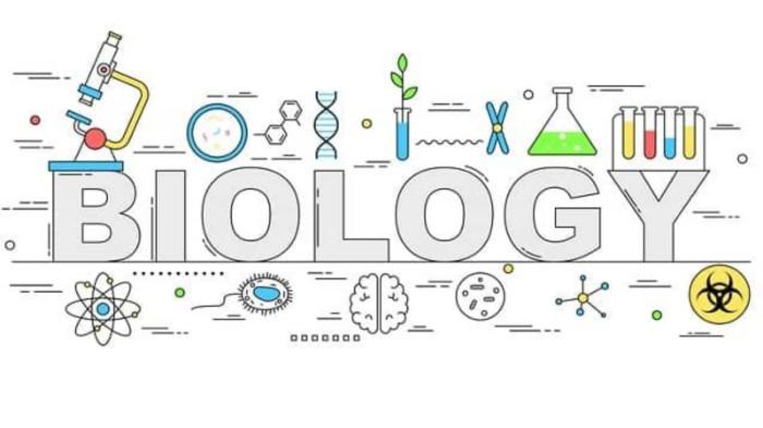 20250730_Jurusan kuliah Biologi