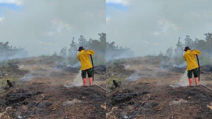 Kebakaran hutan dan lahan dilaporkan kembali terjadi di Desa Tunjungan, Kecamatan Muara Kaman. Belakangan ini tercatat ada sebanyak 42 titik panas yang ada di Kabupaten Kutai Kartanegara.