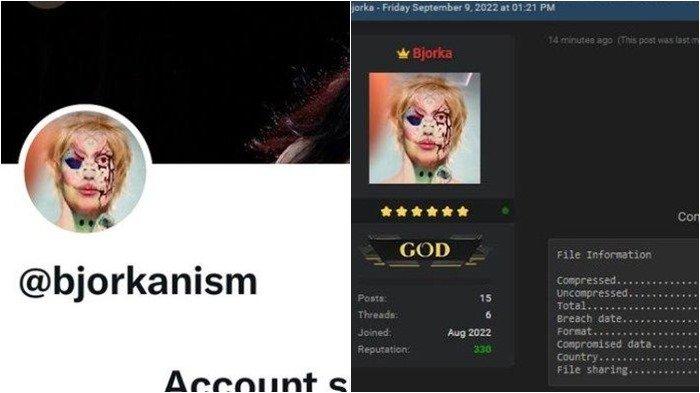 Akun media sosial milik hacker atau peretas Bjorka yang jadi sorotan publik kini tidak dapat diakses.