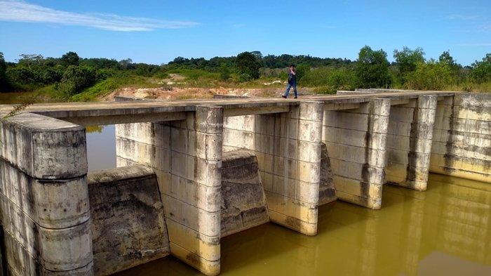 Ilustrasi - bendungan sungai Telake diharapkan segera direalisasikan karena berhubungan dengan persiapan kebutuhan pangan di IKN Nusantara. 