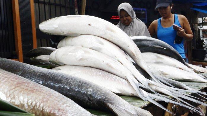 KULINER SEAFOOD - Ilustrasi ikan bandeng. 