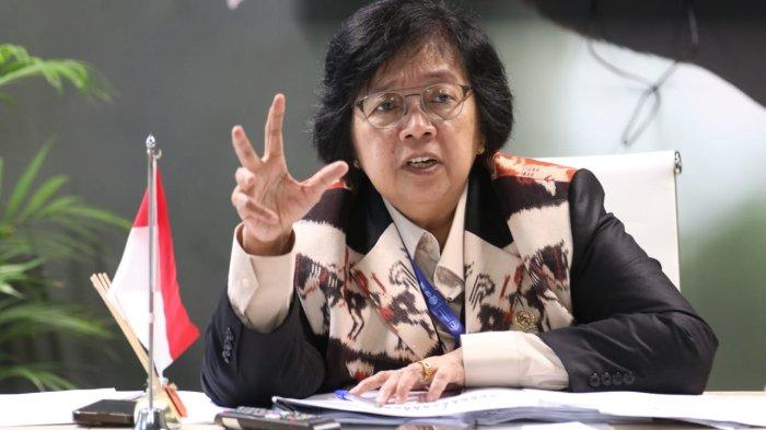 Menteri LHK Siti Nurabaya Bakar saat berbicara di konferensi Perubahan Iklim Perserikatan Bangsa-Bangsa ke 28.