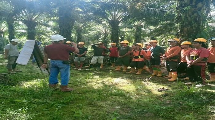 Pelatihan karyawan di DSN Group