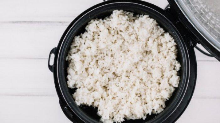 Ilustrasi rice cooker atau penanak nasi. 