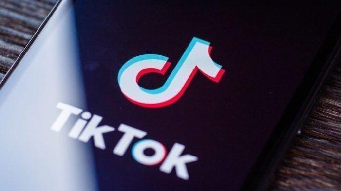 Download Video TikTok tanpa Watermark via SSSTikTok dan SnapTik, Gratis dan Caranya Mudah - Halaman all - Tribunkaltim.co