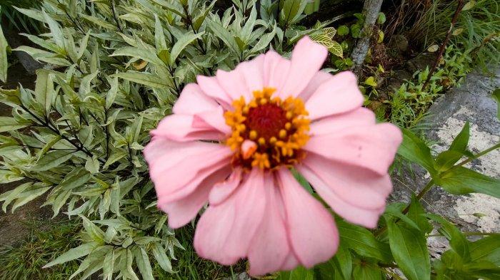 Prakiraan Cuaca Aceh Singkil: 7 Kecamatan Hujan, 4 Berawan Pada Sabtu, 11 Oktober