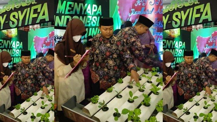 Tanaman Hidroponik yang dipamerkan oleh Pondok Modern Asy-Syifa Balikpapan di Ajang Expo RA/Madrasah 2022. (TRIBUNKALTIM.CO/ARDIANA)