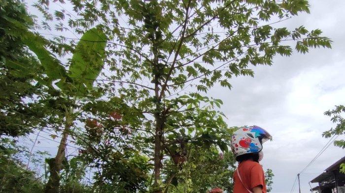 Cuaca Balikpapan Hari Ini 24 September 2025: Diprediksi Mendung