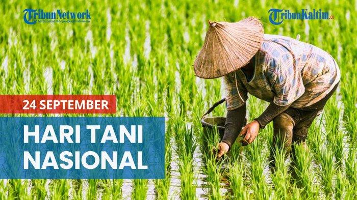 50 Ucapan Hari Tani Nasional 2025 Penuh Makna, Cocok untuk Media Sosial