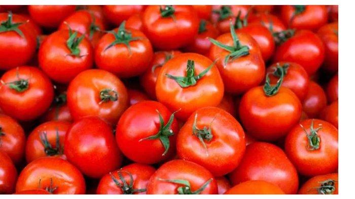 5 Manfaat Buah Tomat bagi Kesehatan