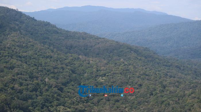 Hamparan hutan di pedalaman Kalimantan tampak dari udara. Foto diambil Rabu (24/8/2016)