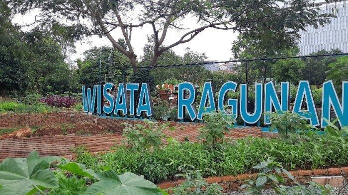 Ilustrasi. Taman Margasatwa Ragunan di Pasar Minggu, Jakarta. 