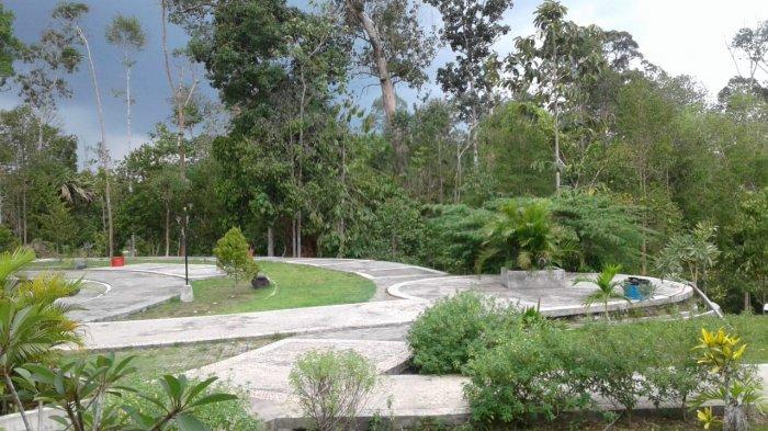 Suguhan flora di Kebun Raya Balikpapan, Kalimantan Timur pada Senin (18/11/2019) siang. (Tribunkaltim.co/Budi Susilo)