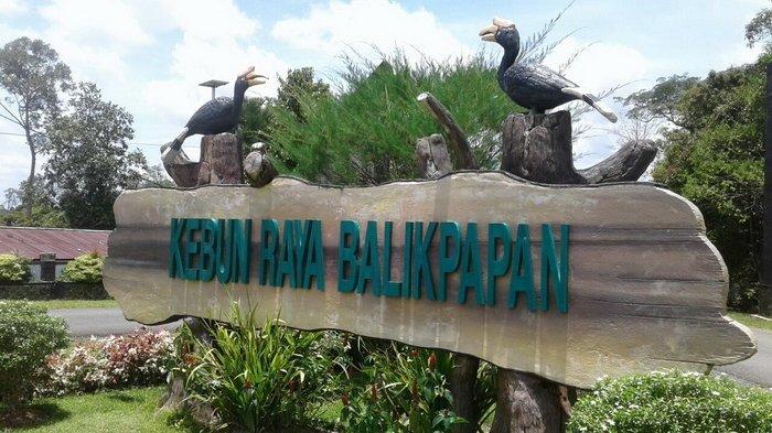 KEBUN RAYA BALIKPAPAN - Wisata Kebun Raya Balikpapan, rekomendasi untuk dikunjungi saat weekend bersama keluarga maupun teman dan sahabat, tersedia berbagai fasilitas. 
