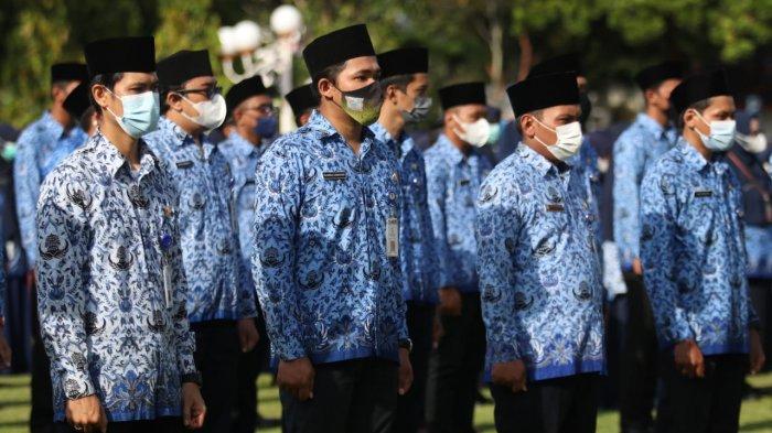 Info terbaru rekrutmen CPNS 2023, 4 formasi jalur khusus ini diprioritaskan, apa bedanya dengan formasi prioritas?