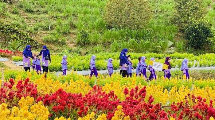 Kawasan wisata edukasi di Pinang Mas Garden, Gang Manunggal RT 17 Kelurahan Bukit Pinang Samarinda Ulu, Kalimantan Timur.
