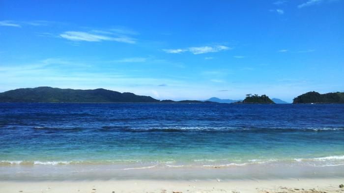 Pohon Kelapa dan Terumbu Karang Tersebar di Pinggir Pantai Pulau Bunta ... Pohon Kelapa dan Terumbu Karang Tersebar di Pinggir Pantai Pulau Bunta ...