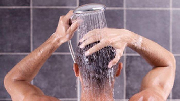MANDI WAJIB - 