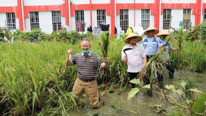 Mantan walikota Bandung Dada Rosada, Ketua DPR RI Setyanovanto tengah berfoto bersama setelah memanen padi pada acara panen raya perdana pos kerja pertanian yang merupakan program binaan Lapas Sukamiskin.