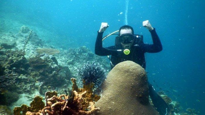 Dongkrak Wisata Selam, Pemkab Berau Optimalkan Layanan Hiperbarik