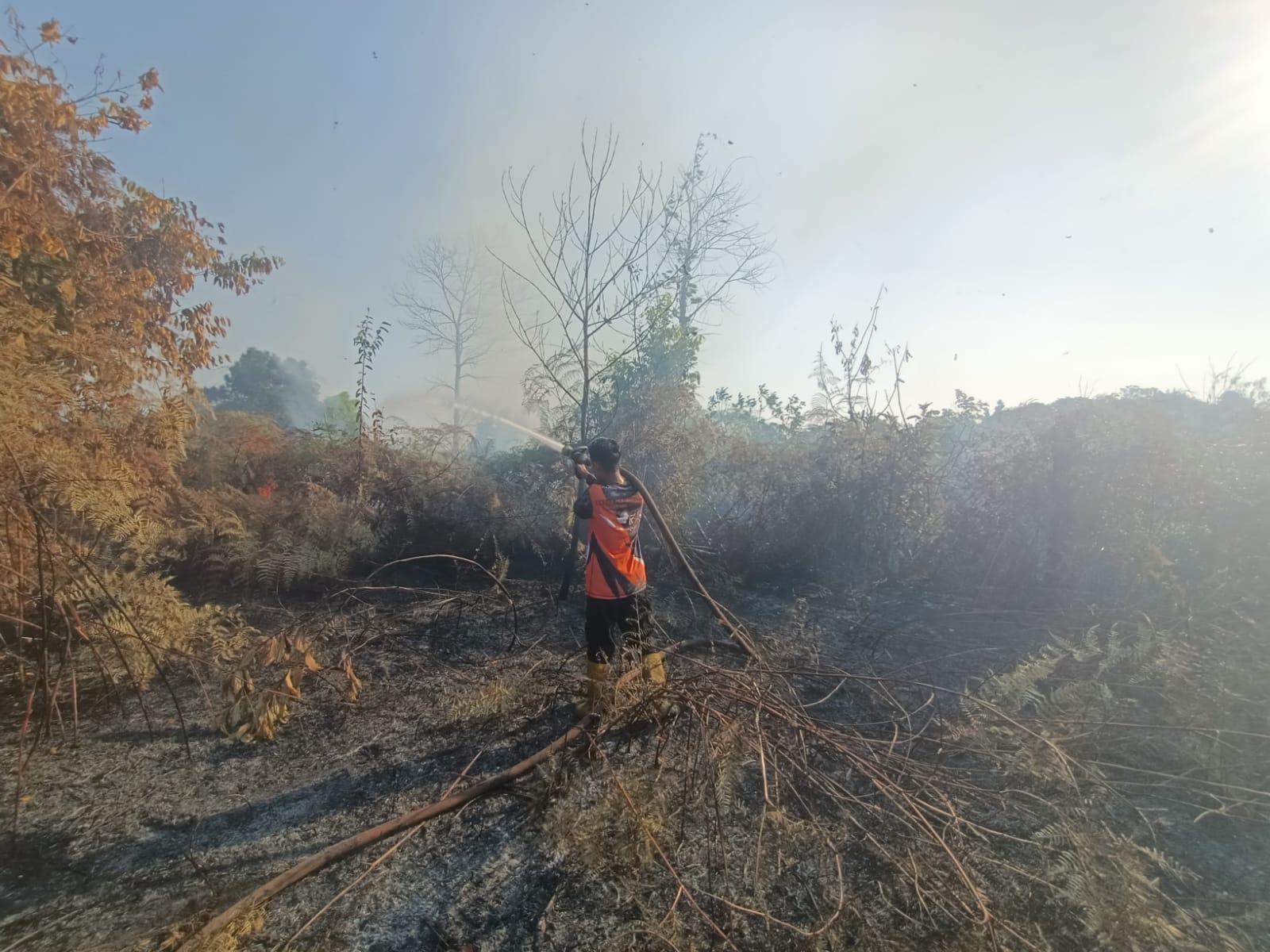 Kelelahan Padamkan Karhutla 4 Bulan, Petugas PPU Bertumbangan