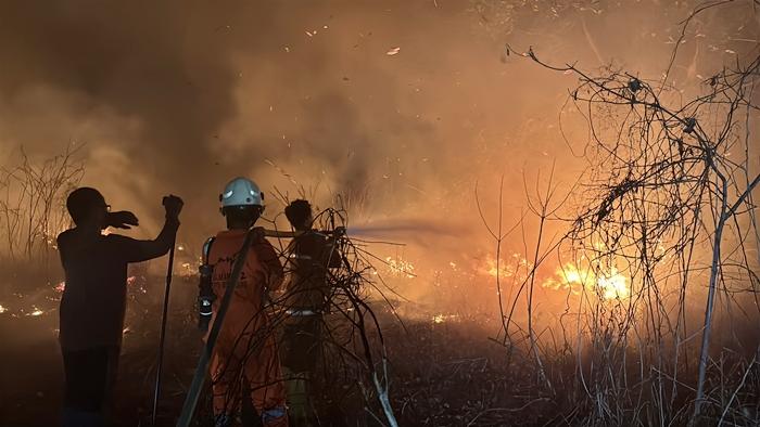 Dekade Paris Agreement, Koalisi Tagih Tanggung Jawab Karhutla Kalimantan