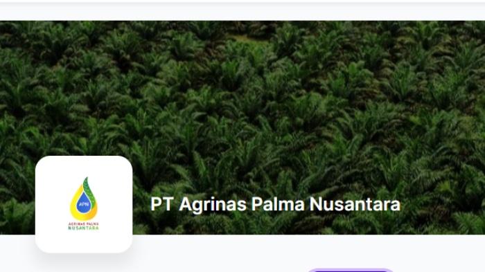 Bongkar Loker BUMN Sawit! PT Agrinas Palma Nusantara Cari Manager