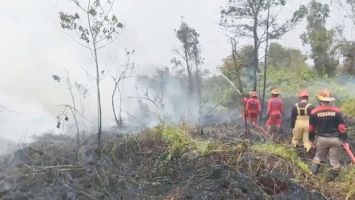 Terkuak! 20 Korporasi Asing Tersangka Karhutla Tak Berkutik
