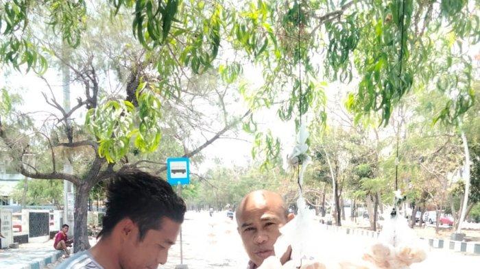 BUAH SABOAK - Kuliner NTT Buah Saboak Timor Redupkan Suhu 34 Derajat Celcius di Kota Kupang dan Lawan Sel Kanker