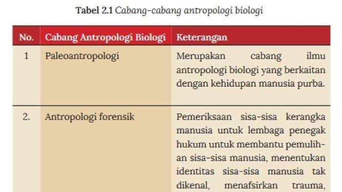 Soal Ujian Sekolah dan Kunci Jawaban Antropologi Kelas 11 Halaman 54: Kebiasaan Perilaku Sehari-hari